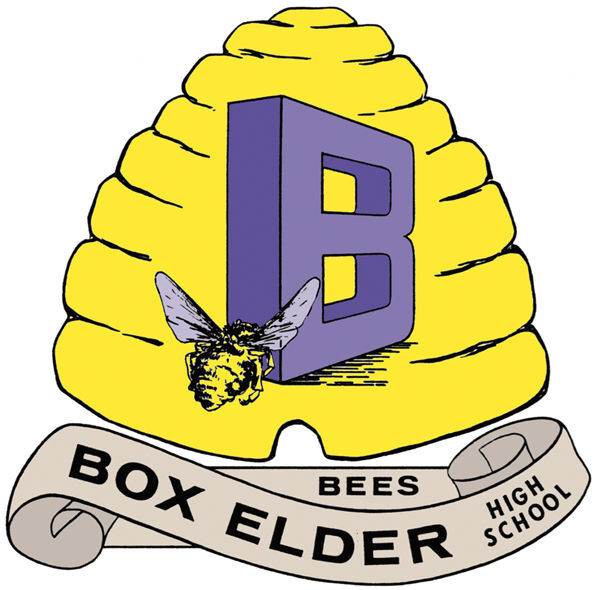 Prep roundup Box Elder, Davis lead girls soccer winners News, Sports